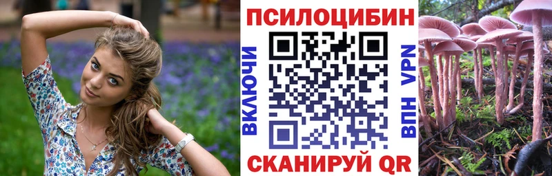 закладки  Плёс  Псилоцибиновые грибы Psilocybine cubensis 